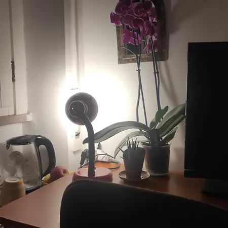 Rum i privatbostad Pineta Sacchetti *